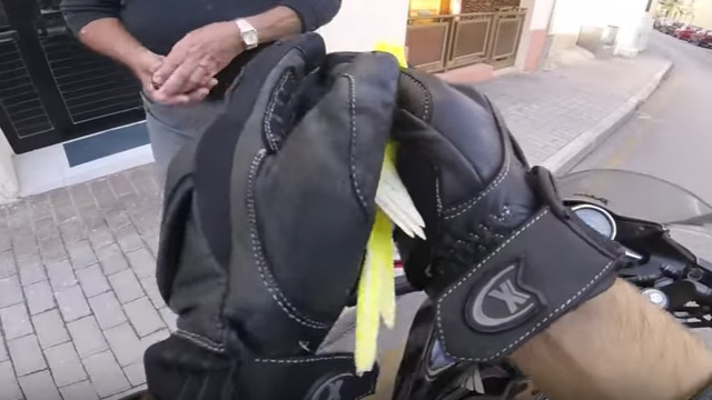 Motard attrape un oiseau